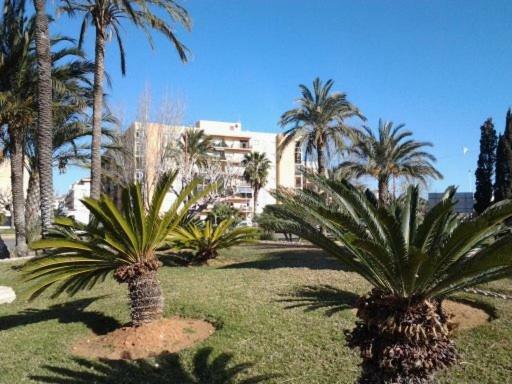 Primera Linea En Playa Sur. Plaza Constitucion Peñíscola Exteriör bild